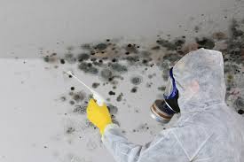 Best Airborne Mold Testing  in USA